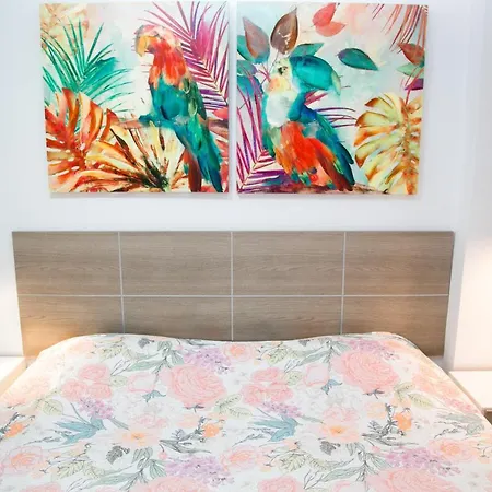 Apartamento Viña Del Mar 5 Playa Feñabe